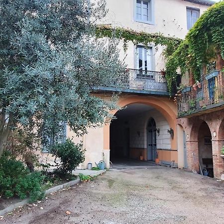 Un Petit Coin De France : A Cote De La Cite Medievale Lägenhet Carcassonne Exteriör bild