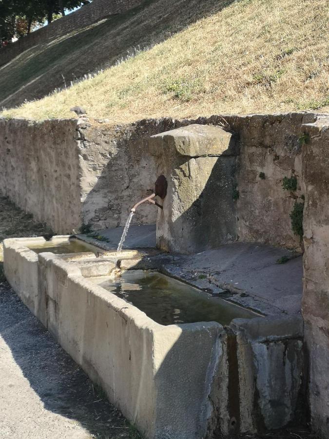Un Petit Coin De France : A Cote De La Cite Medievale Lägenhet Carcassonne Exteriör bild