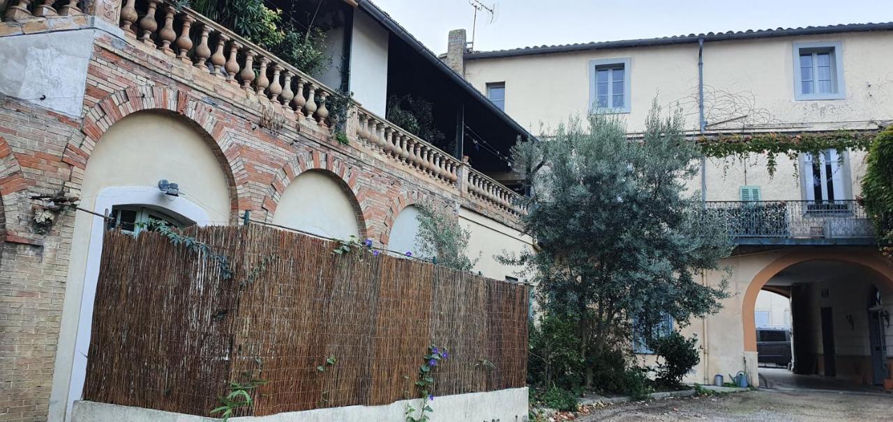 Un Petit Coin De France : A Cote De La Cite Medievale Lägenhet Carcassonne Exteriör bild